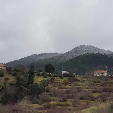 فندق Petra & Elato Art