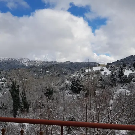 Petra & Elato Art فندق