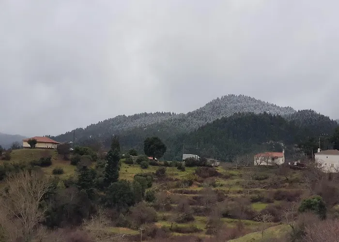 Hotel Petra & Elato Art