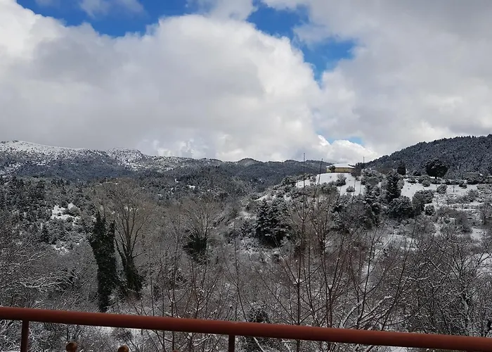 Petra & Elato Art Hotel